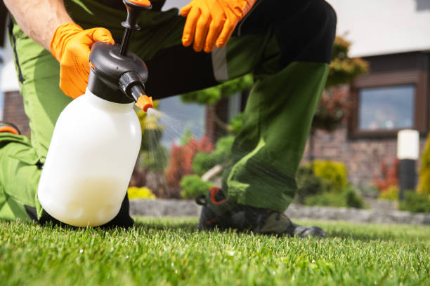 Best Pest Inspection Near Me  in Summit, MS