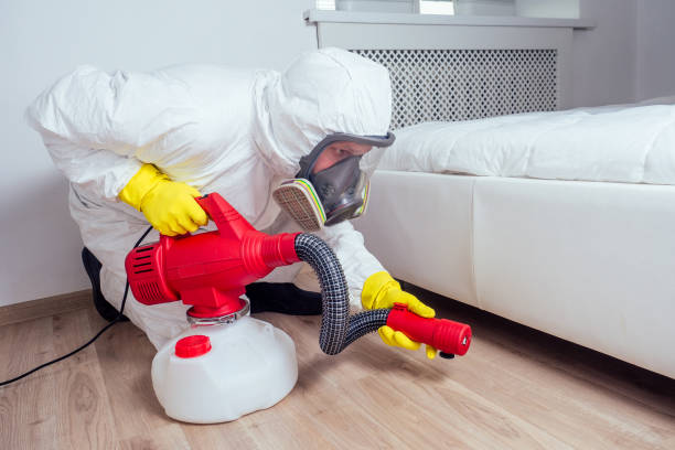 Best Termite Control Services  in Summit, MS