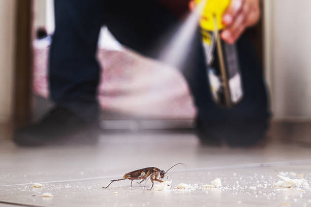 Best Commercial Pest Control Services  in Summit, MS